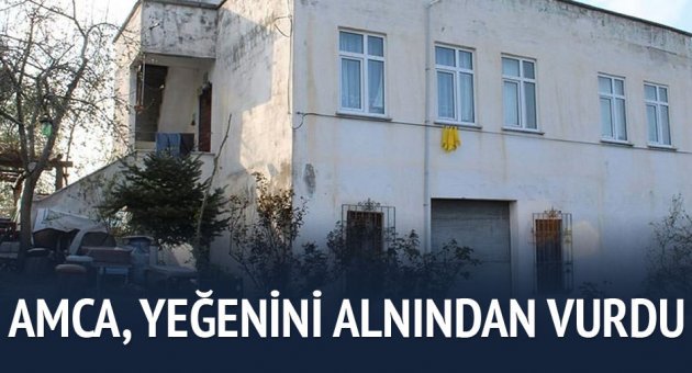 Yeğenini alnından vurarak öldürdü