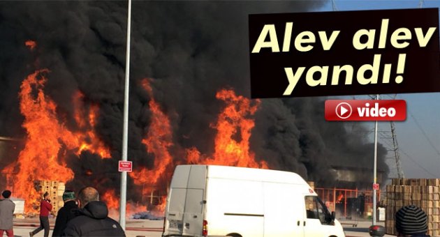 Yeni hal alev alev yandı