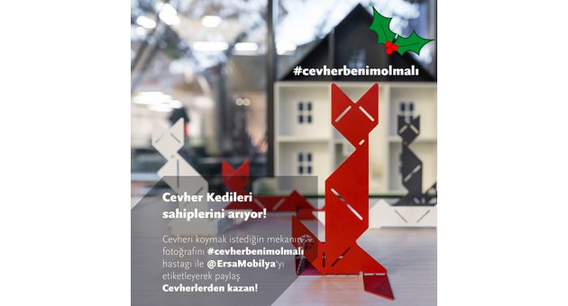 YENİ YILA 'CEVHER KEDİSİ' İLE GİRİN!