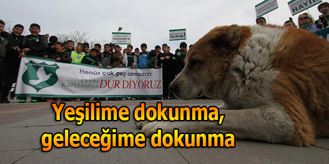 Yeşilime dokunma, geleceğime dokunma