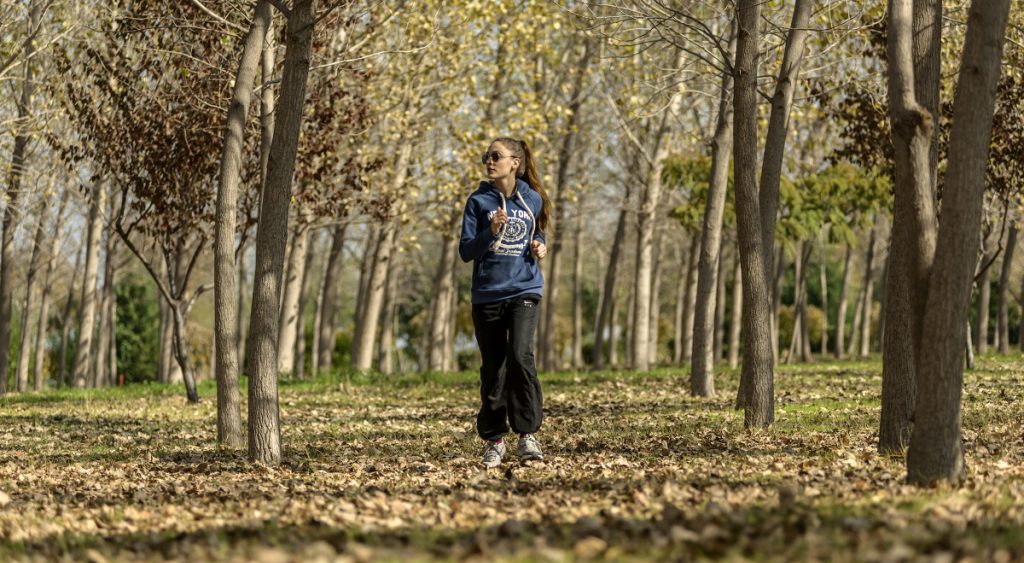 Yeşil seferberliği