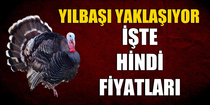 Yılbaşı yaklaşıyor! İşte hindi fiyatları