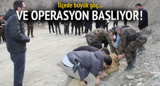 Yüksekova'da PKK'lılara karşı operasyon başlıyor!