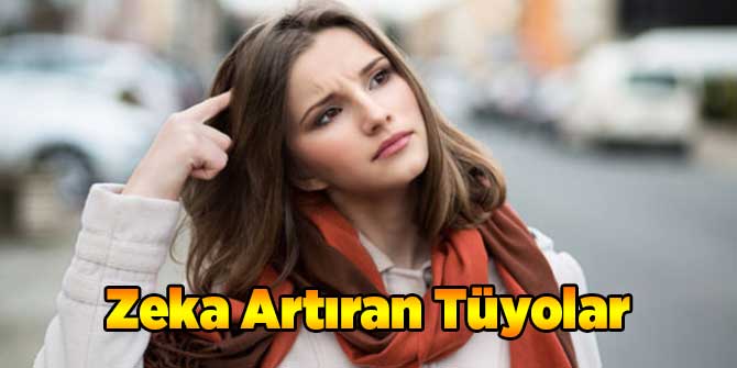 Zekayı Arttıran Tüyolar