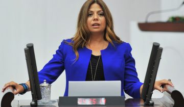 Zeynep Altıok: Erkence zeytini yok olacak