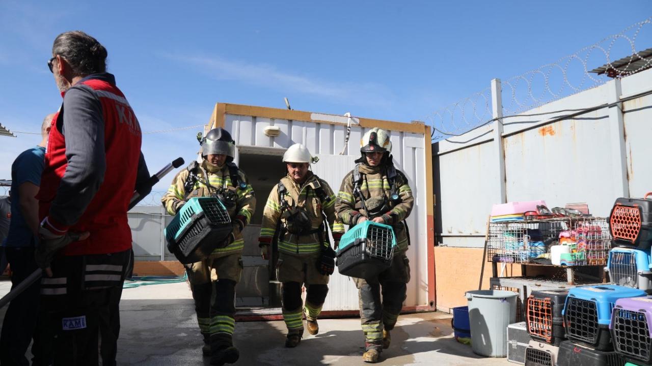 Bayraklı’da gerçeği aratmayan tatbikat: Hayvan Barınağında Orman Yangını Tatbikatı