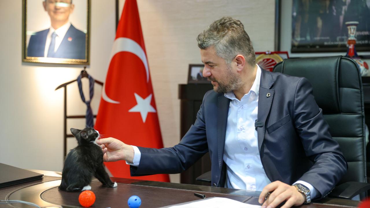 Hayvanları Koruma Günü’nde Başkan Duman’dan çağrı