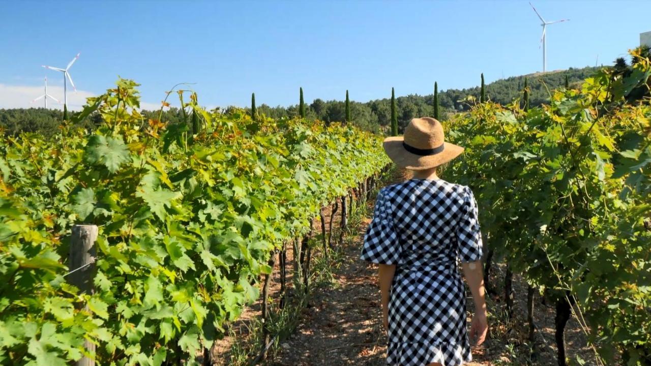 İzmir bağcılık mirasını koruyan Iter Vitis Rotası’na katıldı