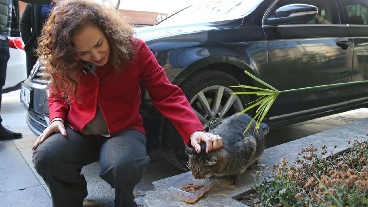Karşıyaka’da can dostlar için 25 ton mama toplandı