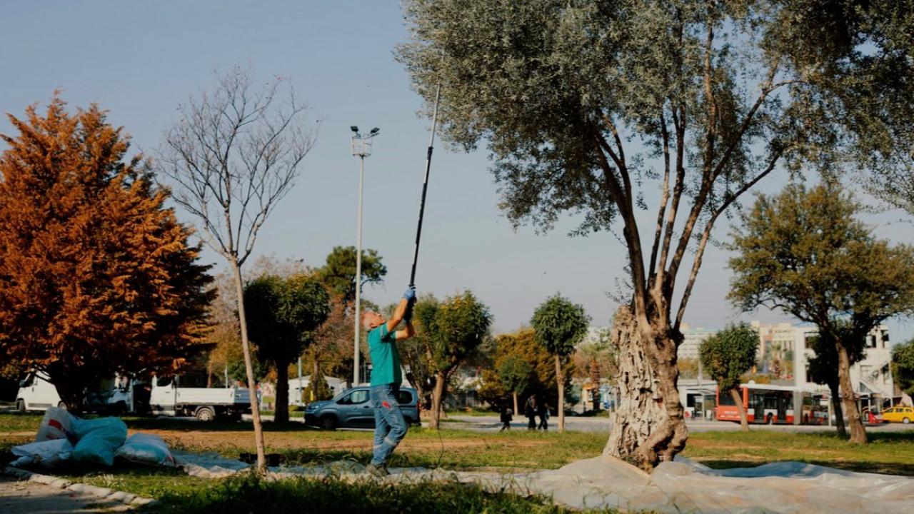 Balçova Belediyesi&#039;nden kentin bereketine sahip çıkan örnek çalışma