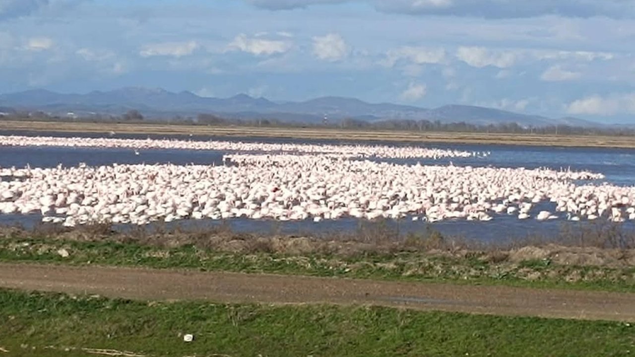 CHP’li Yazgan’dan TBMM&#039;de Gala Gölü çağrısı!