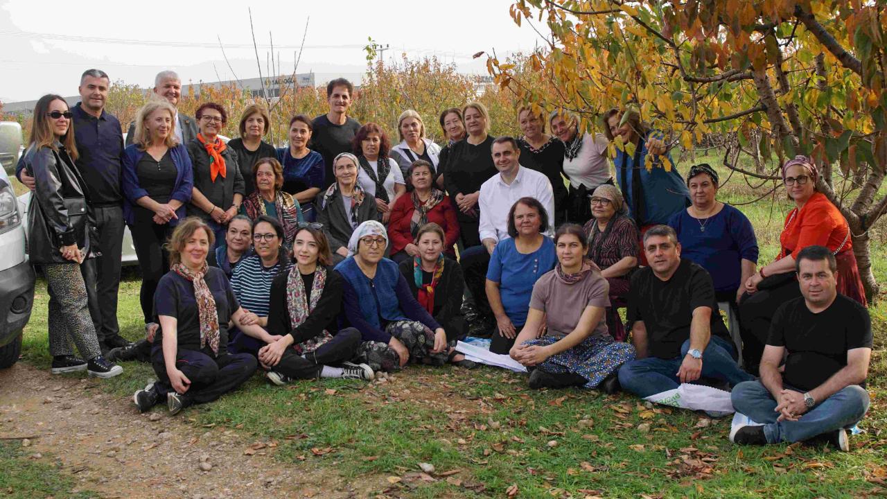 Güç Yılın İlk Zeytin Hasadına Katıldı