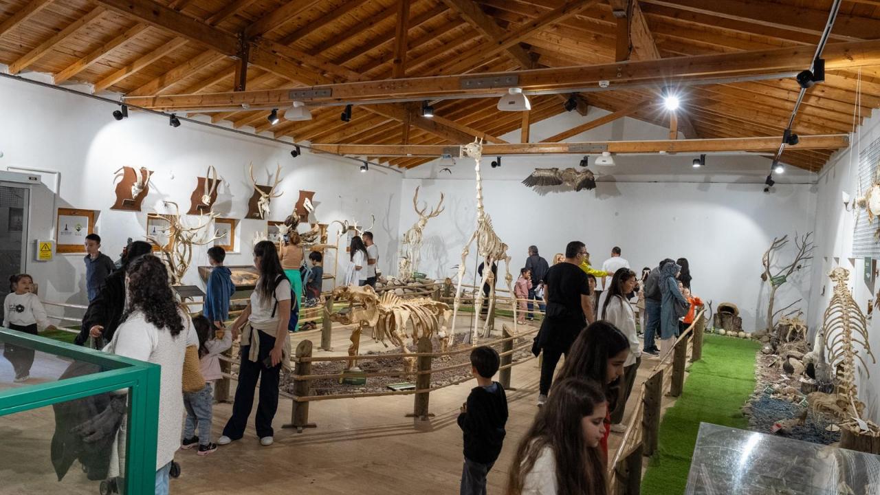 İzmir Doğal Yaşam Parkı’na ziyaretçi akını