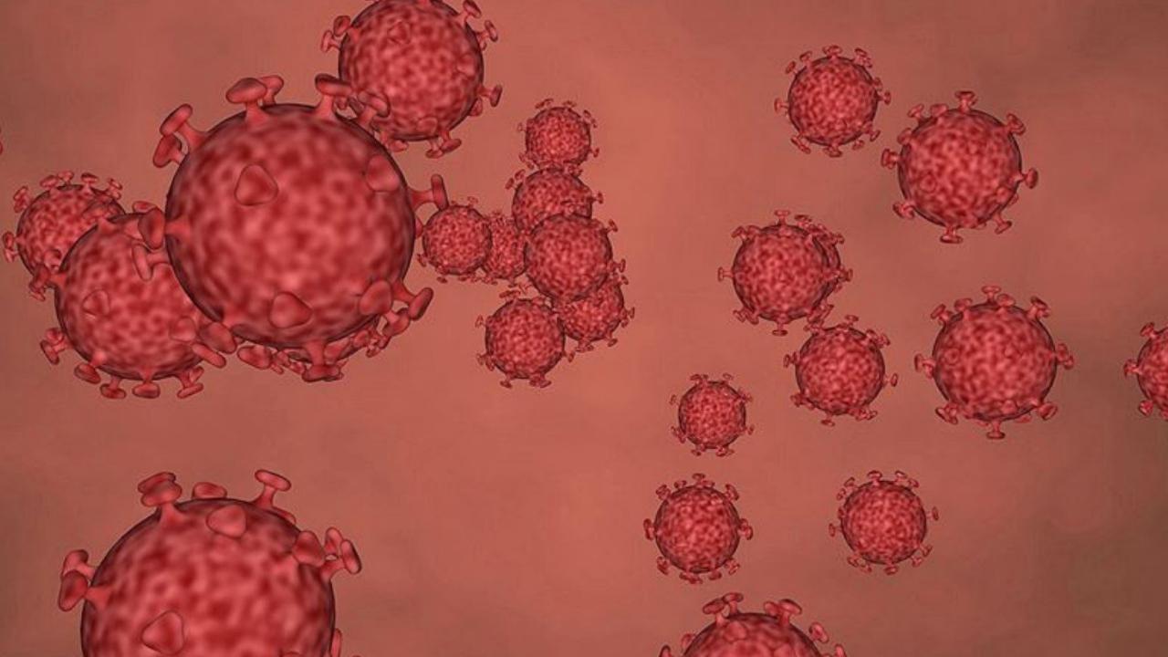 Koronavirüs belası bitmedi! Yeni bir türü keşfedildi