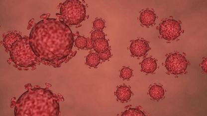 Koronavirüs belası bitmedi! Yeni bir türü keşfedildi