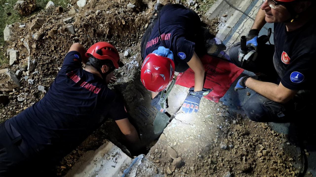 Mazgala düşen kayıp köpek ve yangında mahsur kalan kediler itfaiyenin çabasıyla kurtarıldı