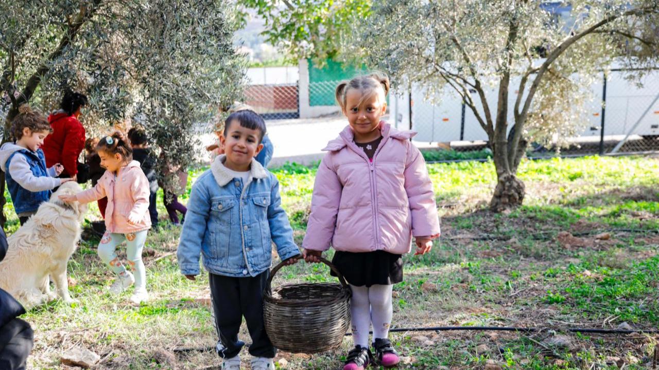 Seferihisar Belediyesi’nden örnek proje; Çocukların topladığı zeytinler sofralara bereket olacak