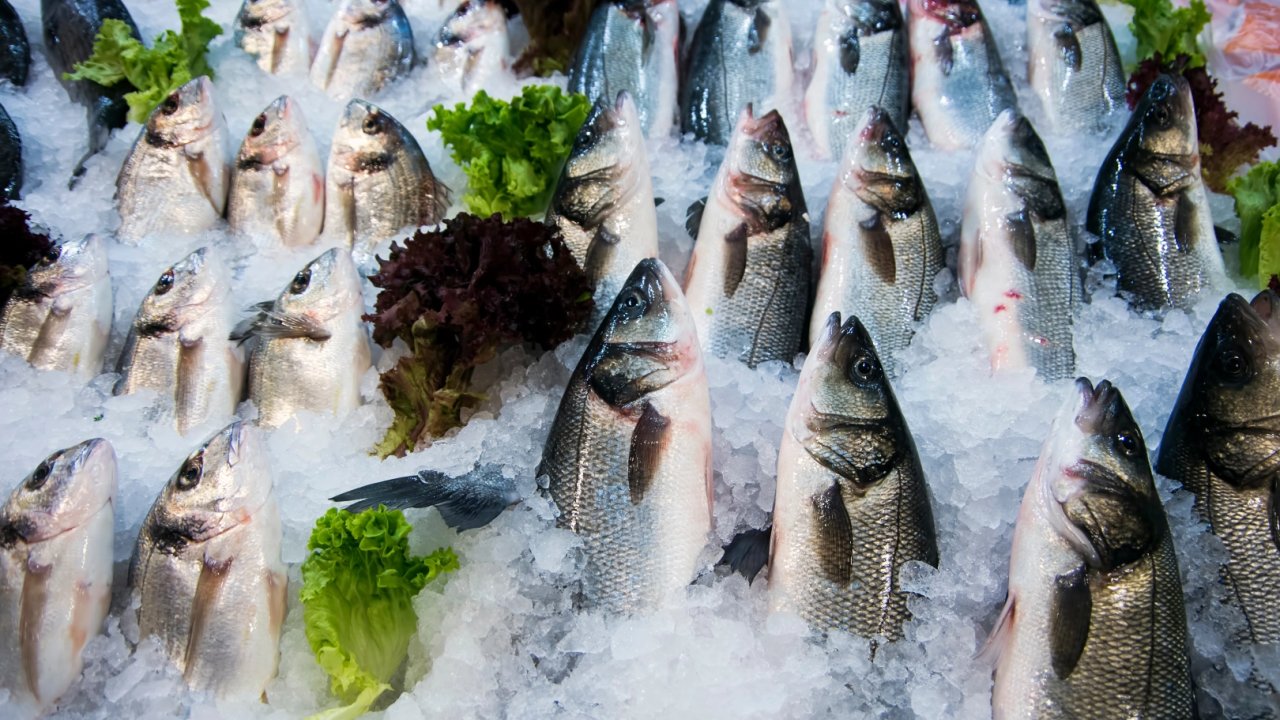 Su ürünleri ihracatının yüzde 47’si Ege&#039;den yapıldı