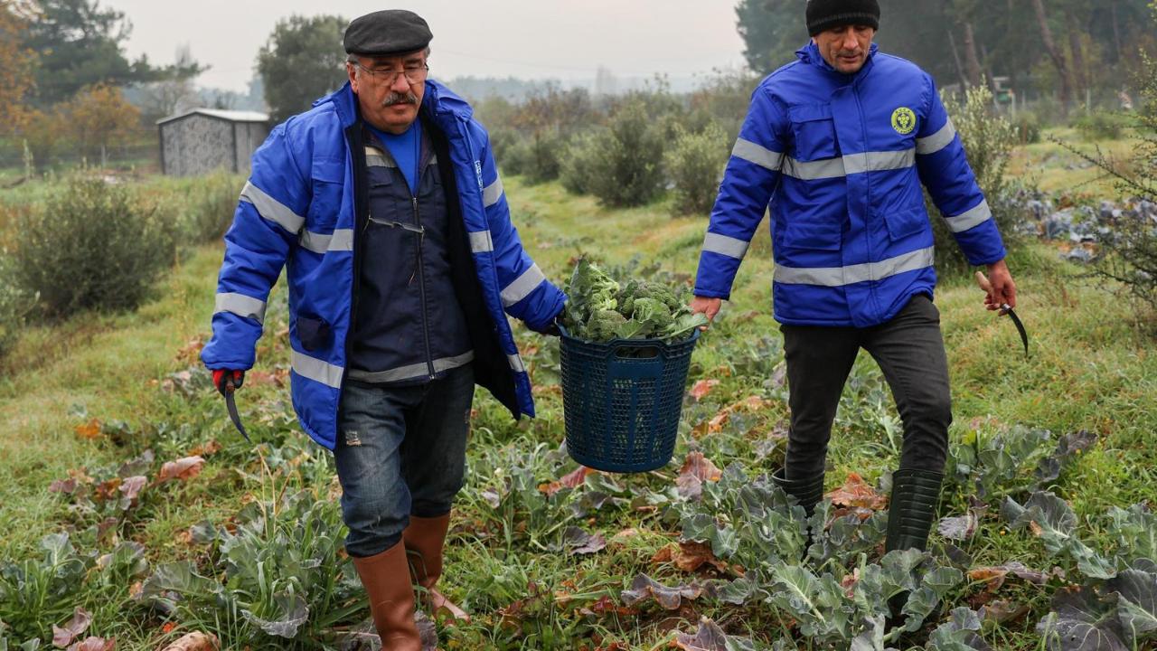 Buca’da üretim ve dayanışma seferberliği devam ediyor