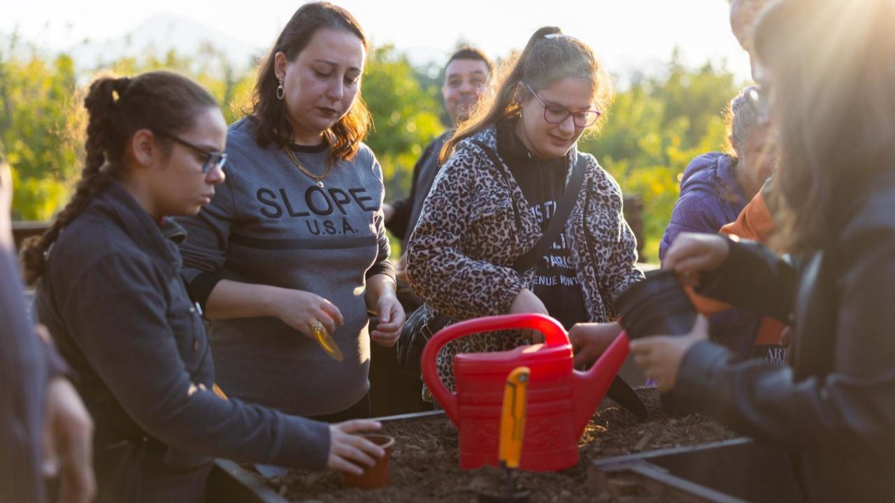 Tohumdan toprağa, topraktan sofraya