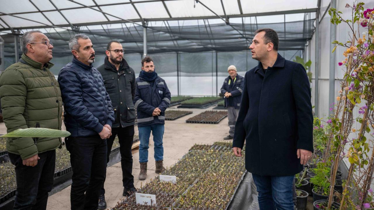 Bornova kendi yeşilini kendi üretiyor...2026’ya 75 bin fidanla hazırlık