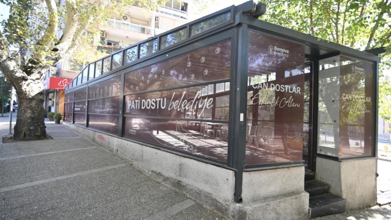 Eros Kedi Kliniği Bornova’da umut merkezi oldu