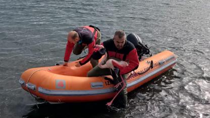 İzmir İtfaiyesi ayağına misina dolanan flamingoyu kurtardı