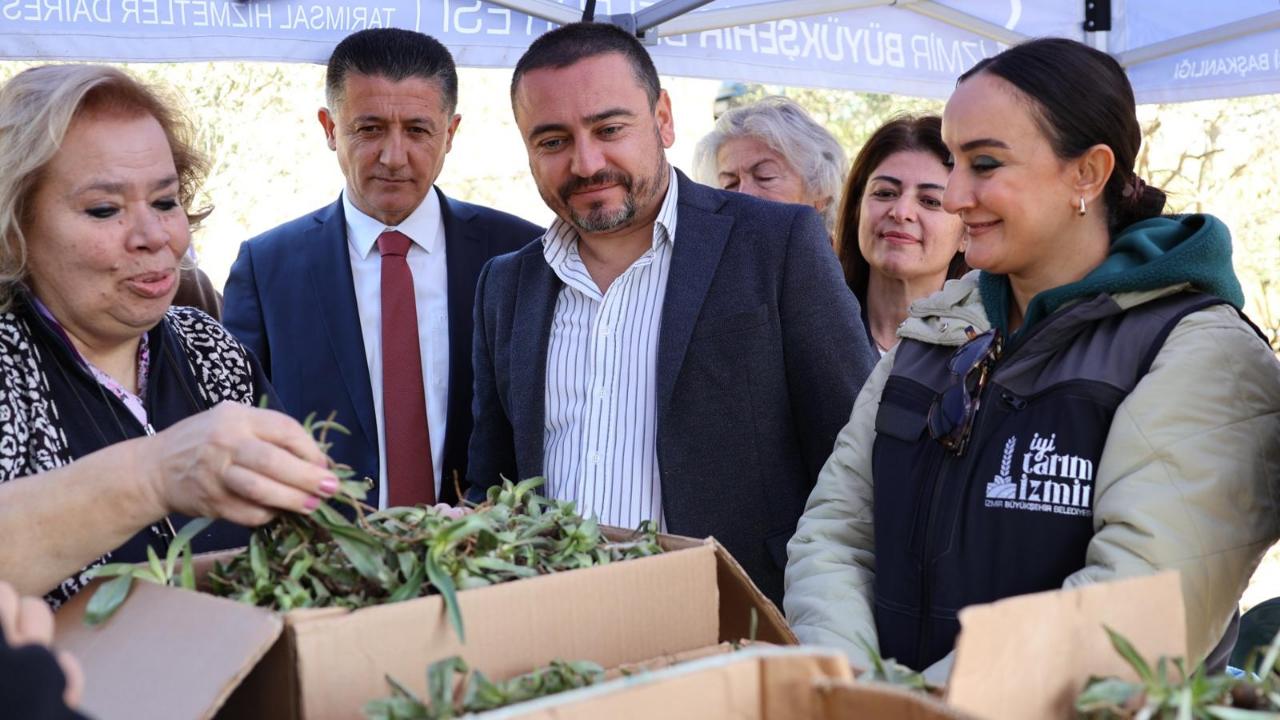 Menderes’te salep umudu