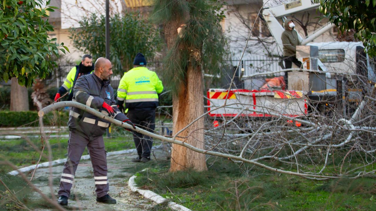 Narlıdere, peyzaj çalışmalarıyla güzelleşiyor