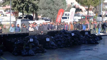 50 bin adet üzümsü fidan dağıtıldı