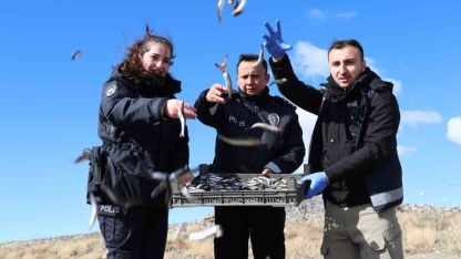 Doğu’nun gizli denizinde şefkat eli: Polis ekipleri martı ve tavşanları unutmadı