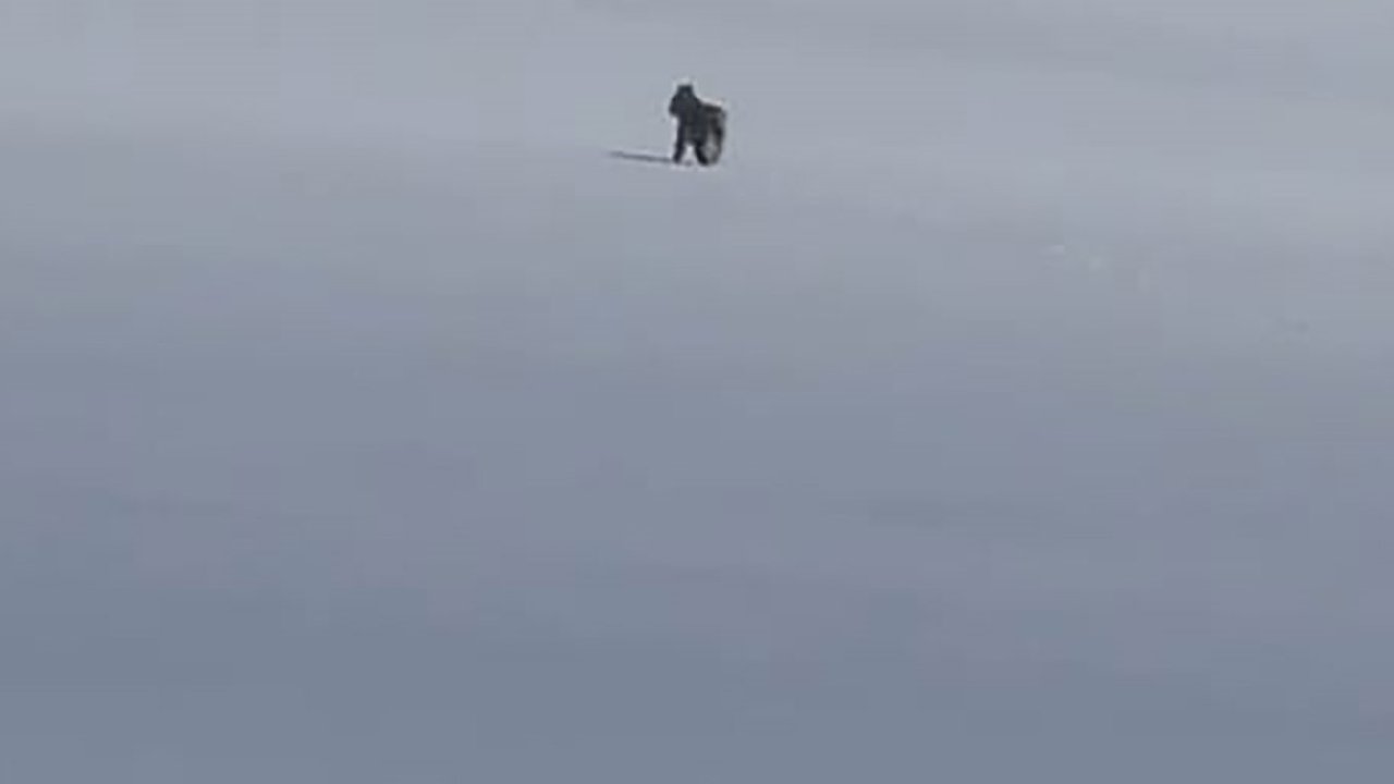 Adilcevaz’da kar üzerinde vaşak görüntülendi