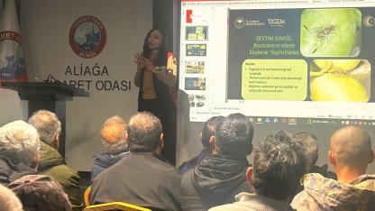 Aliağa’da tarımsal eğitimler aralıksız sürüyor