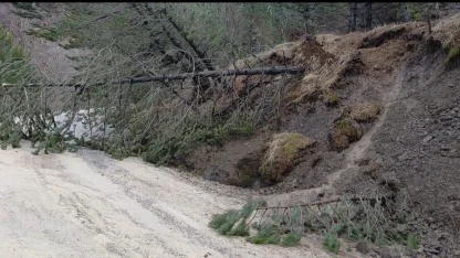 Amasya’da ormanlık alanda heyelan: Ağaçlar devrildi