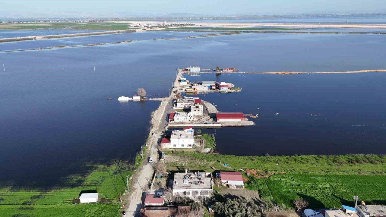Amik Ovası’nda şiddetli yağışla birlikte tarım arazileri ve evler günlerdir sular altında