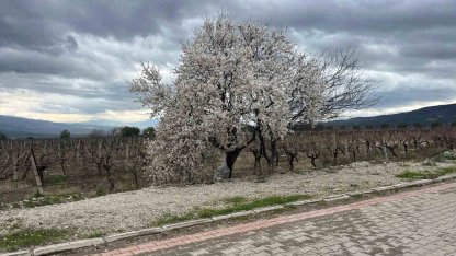 Bahar renkleriyle geliyor