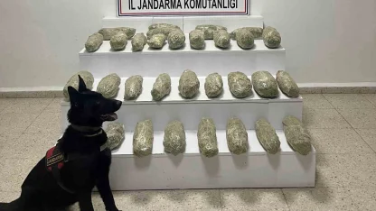 Başkale’de 21 kilo 350 gram skunk ele geçirildi