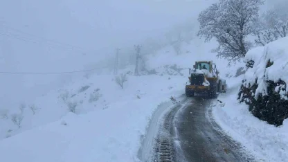 Batman’da 115 yerleşim yerinin yolu kardan kapandı