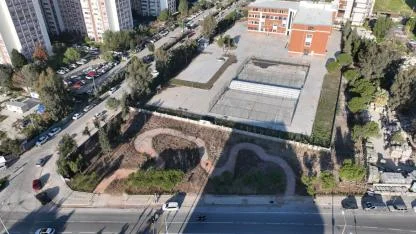 Betonun arasından orman çıktı