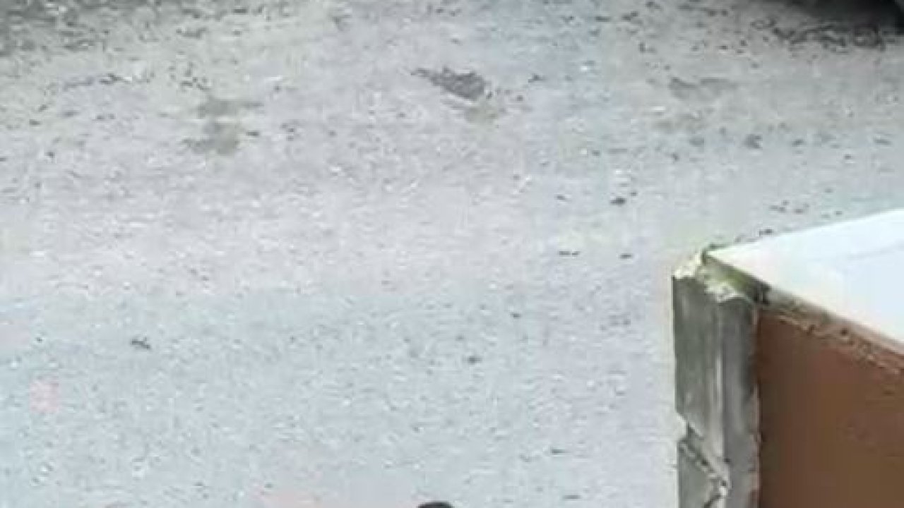 Boşanma aşamasında olduğu eşinin sevgilisine sokakta bıçakla saldırdı