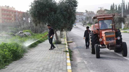 Bozdoğan’da yabani ot mücadelesi