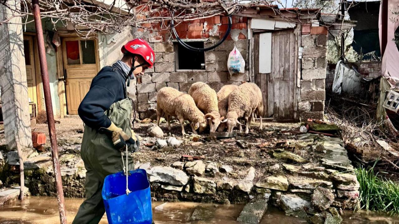 Büyükşehir ekipleri tüm canlılar için aynı özveriyle çalışıyor