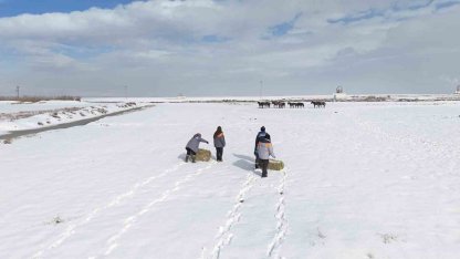 Büyükşehirden ‘dilsiz dostlara’ merhamet eli: Soğuk günlerde sıcak bir dokunuş