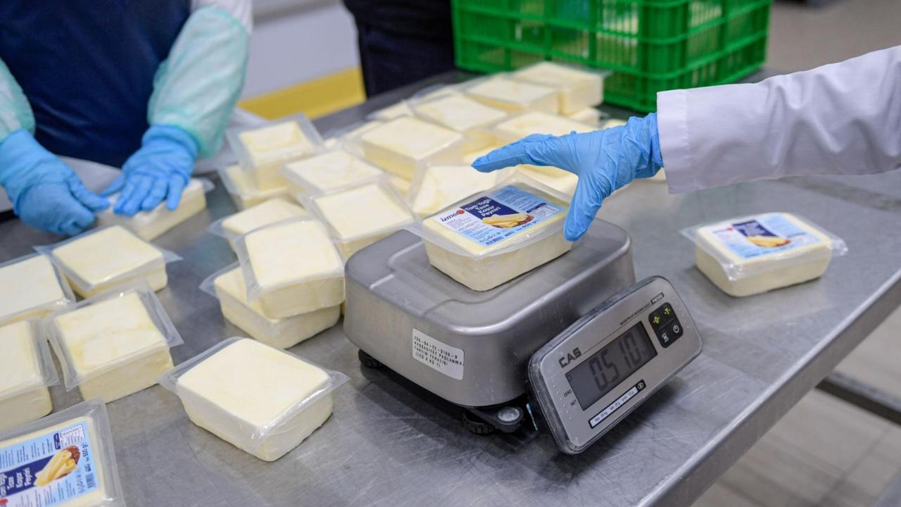 Büyükşehir’den peynir hamlesi... 500 gramlık kaşar 165 TL