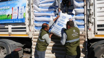 Büyükşehir’in üreticilere yem desteği devam ediyor