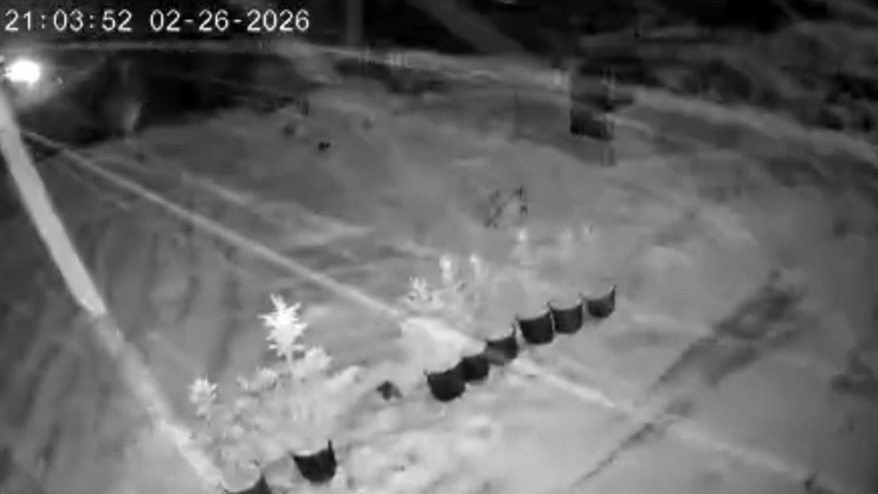 Çankırı’da kar yağışı etkili oluyor