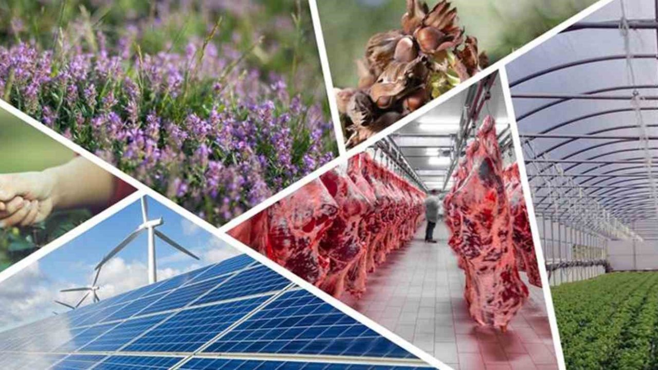 Denizli’de tarımsal kalkınmaya 82 milyonluk hibe desteği