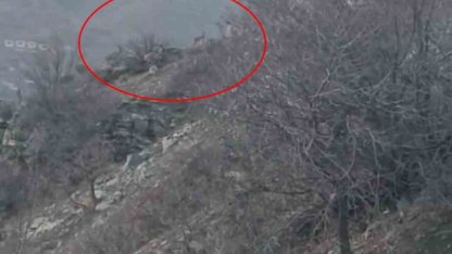 Diyarbakır’da nesli koruma altında bulunan dağ keçileri görüntülendi