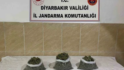 Diyarbakır’da uyuşturucu operasyonları: 12 şüpheli hakkında işlem yapıldı