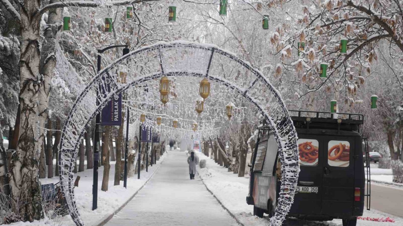 Erzurum’da soğuk havanın etkisiyle ağaçlar kırağı tuttu
